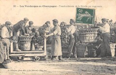 Les Vendanges En Champagne Transbordement De La Recolte Par Wagonnets -
													51 Marne
												