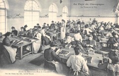 Ecole De Viticulture Moet Et Chandon Atelier De Greffage -
													51 Marne
												
