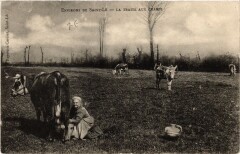 Env. de Saint-Lo - La Traite aux Champs