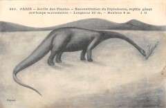 Paris Jardin Des Plantes Reconstitution Du Diplodocus