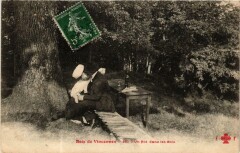 Bois de Vincennes - Un Nid dans les Bois à Paris 12e