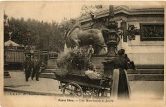 Carte postale ancienne Paris Vecu. Une marchande de Fleurs
                                                                     à Paris
                                