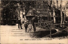 Foret de Berche - L'Hermitiere -
													72 Sarthe
												
