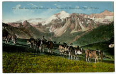 Savoie Massif de la Vanoise Pâturages à la Chavanne animé animaux à La Chavanne