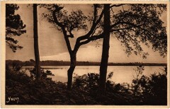 Les Landes de Gascogne L'Etang Blanc, pres de Dax France