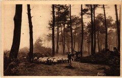 Le Berger Bucheron France