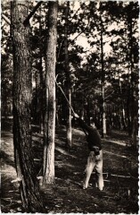 Les Landes Pittoresques Le Gemmeur France -
													40 Landes
												