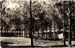 Contis les Bains La Colonie Ccos France -
													40 Landes
												