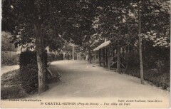 Chatel Guyon une allee du Parc