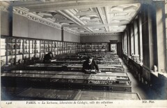 Paris 5e la Sorbonne Laboratoire Geologie salle des Collections à Paris 5e