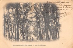 Environs De Saint Maixent Bois De Villaines