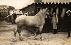 Paris Concours Hippique carte photo