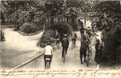 Carte postale ancienne Bois de Boulogne - L'Allée des Erables
                                                                     à Paris 16e
                                