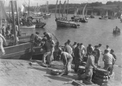 Douarnenez Arrivage De La Sardine à Douarnenez