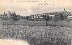 Brissac Vue Panoramique -
													49 Maine et Loire
												