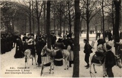 Paris 8e Champs-Elysees Promenade a anes à Paris 8e