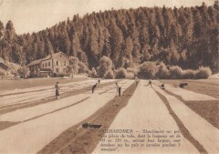 Gerardmer Blanchiment Sur Pre