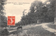 Taverny Foret De Montmorency Place De L'Eauriett -
																					95160 Montmorency
																			