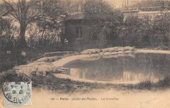 Paris Ve Jardin Des Plantes Le Crocodile -
																					75005 Paris 5e
																			