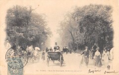 Carte postale ancienne Bois de Boulogne - Allée des Accacias
                                                                     à Paris 16e
                                