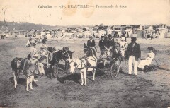 Deauville Promenade A Anes à Deauville