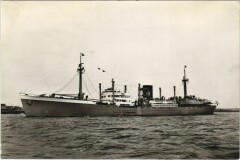 M.S. Bantam Ships
