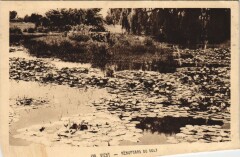 Vichy Nenuphars du Golf à Vichy