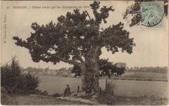 Bohain Chene brule par les espagnols -
													02 Aisne
												