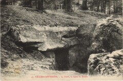 Villers-Cotterets La foret -
													02 Aisne
												