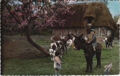 La Normandie - Bons Amis