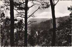 Pance Le Tertre Gris au Bas le Semnon