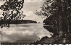 Foret de Troncais Etang de Pirot -
													03 Allier
												