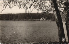 Foret de Troncais Etang de troncais -
													03 Allier
												