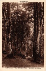 La Bourboule Sous-Bois du Charlet à La Bourboule