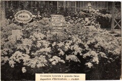 Paris Expo d'Horticulture