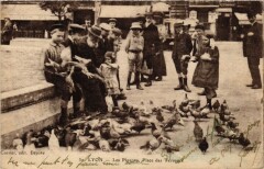 Lyon - Les Pigeons - Place des Terraux à Lyon