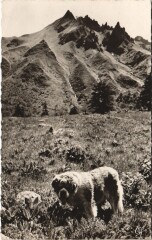 Le Mont Dore Le Sancy à Mont-Dore