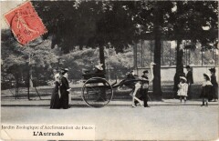 Carte postale ancienne Jardin Zoologique d'Acclimatation de Paris - L'Autruche
                                                                     à Neuilly-sur-Seine
                                