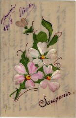 Souvenir - Fleurs