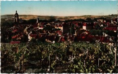 Arbois vue generale à Arbois