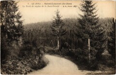St Laurent Foret de sapins de la Joux Devant