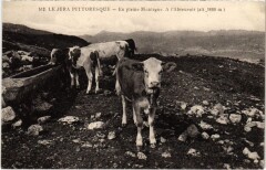 En pleine Montagne