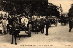 Blois Fete des Fleurs, le Defile France à Blois