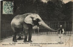 Paris 5e Jardin des Plantes Elephant