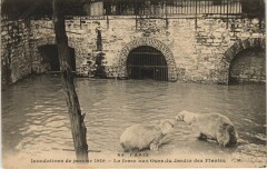 Paris 5e Jardin des Plantes fosse aux Ours