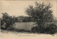 Chateau de Druyes
