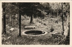 Foret de Troncais - Fontaine de Viljot