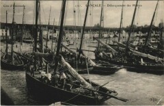 Cancale - Debarquement des Huitres Ships