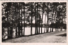 Saint-Bonnet-Troncais Vue du Lac -
													03 Allier
												