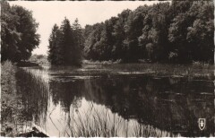 Etang du Puits Reserve et l'Etang